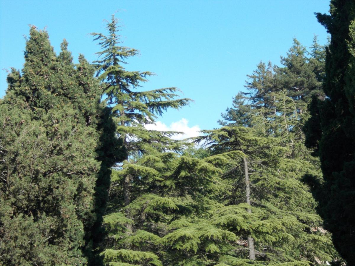 La Vecchia Locanda Castelnuovo di Val di Cecina Kültér fotó