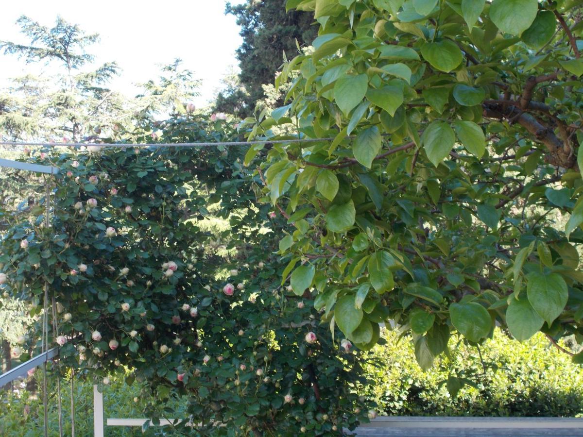 La Vecchia Locanda Castelnuovo di Val di Cecina Kültér fotó